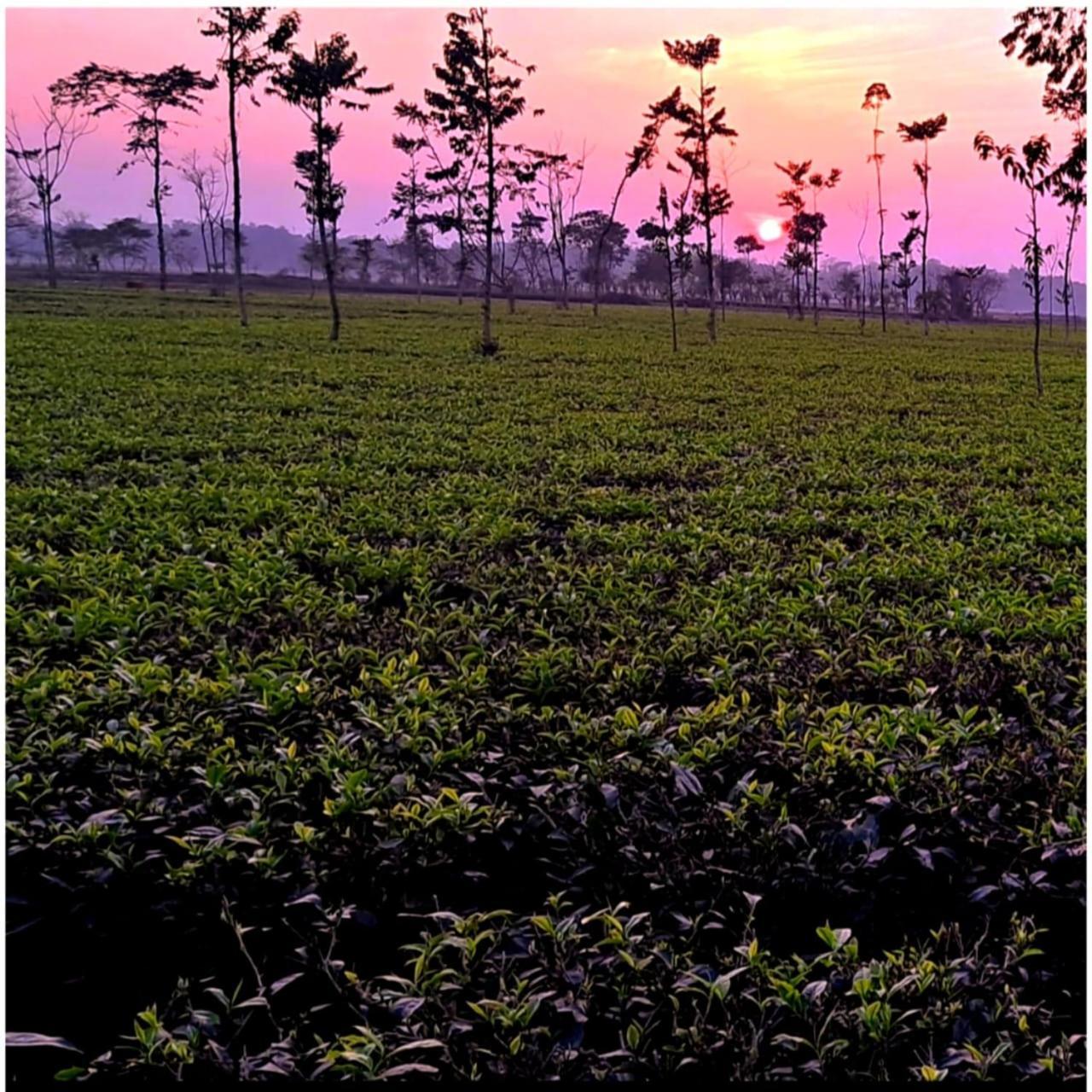 Krishna Farms And Village Resort Siliguri Exteriör bild