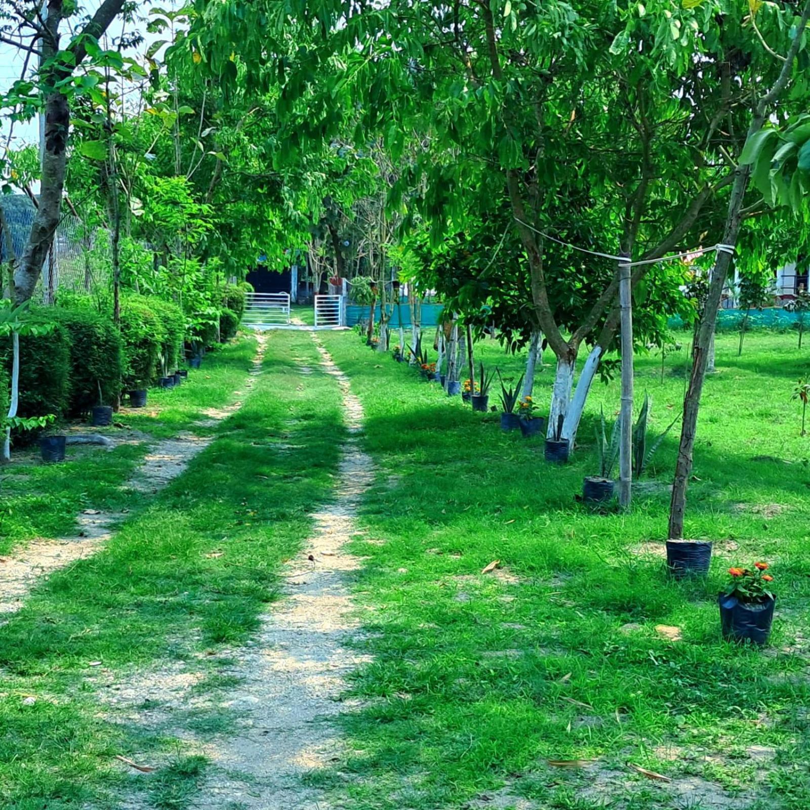 Krishna Farms And Village Resort Siliguri Exteriör bild